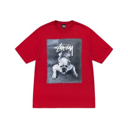 Stussy Dog Shirt red