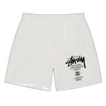 Stussy World Tour Shorts white